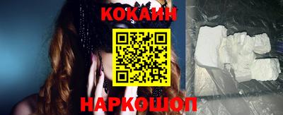 стаф Дубна