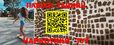 стаф Дубна