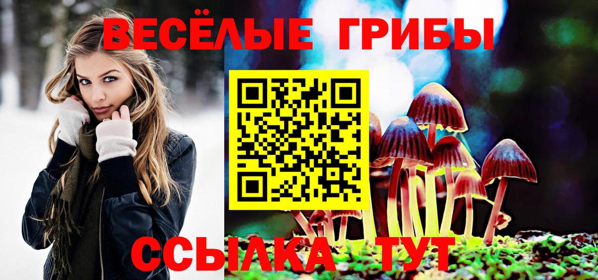 Муром  Галлюциногенные грибы мицелий  Вход с VPN  Галлюциногенные грибы ЛСД 